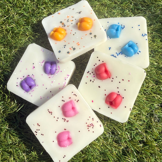 Sol De Wax Melt Collection